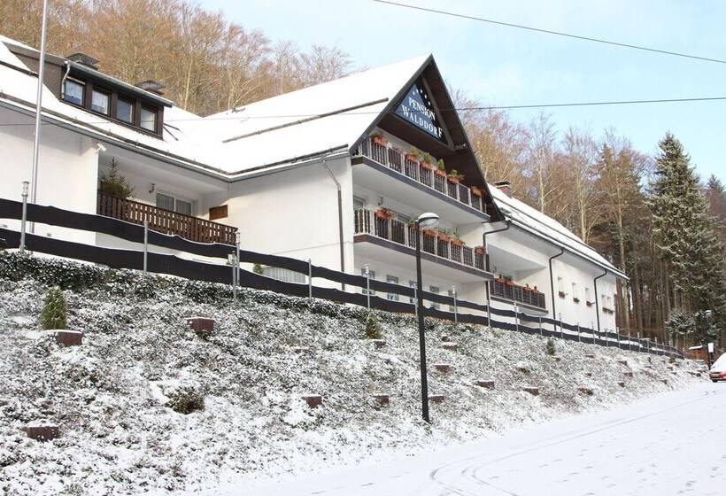 Отель Pension Walddorf