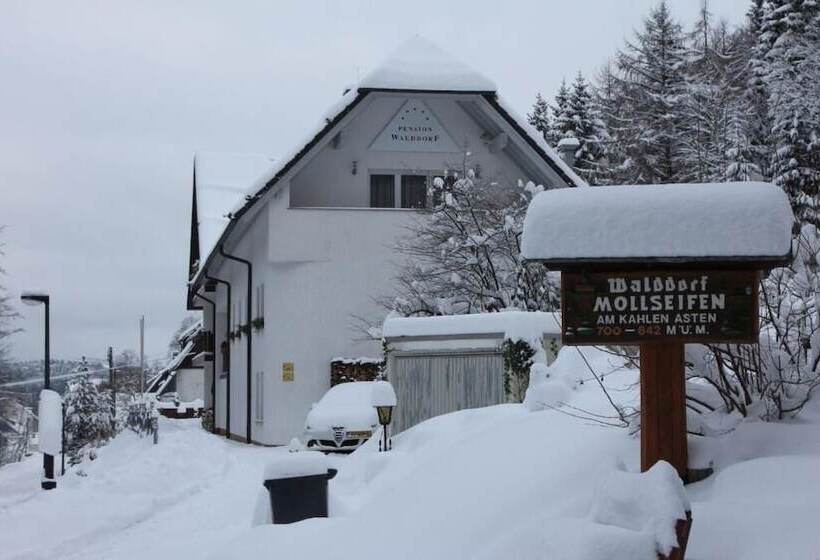 Отель Pension Walddorf