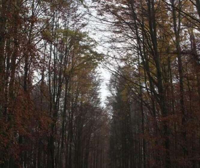 Отель Pension Walddorf