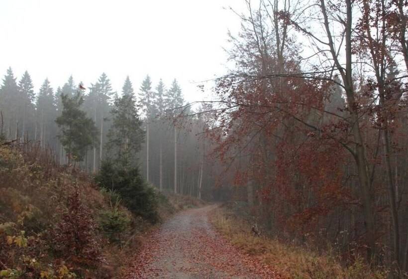 هتل Pension Walddorf