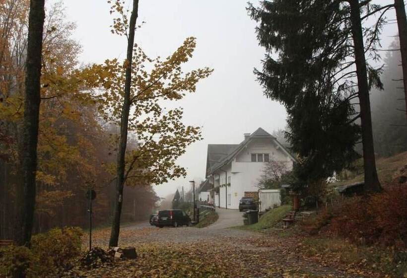 Отель Pension Walddorf