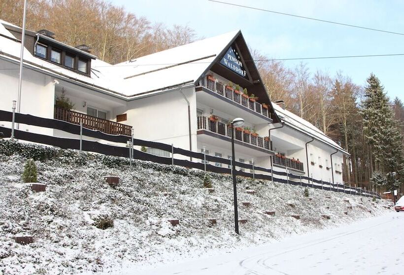 Отель Pension Walddorf
