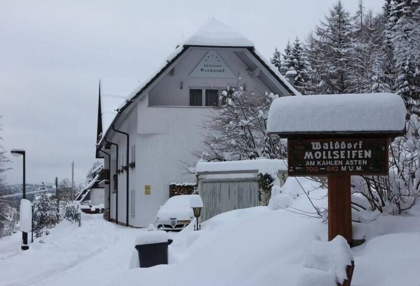 Отель Pension Walddorf