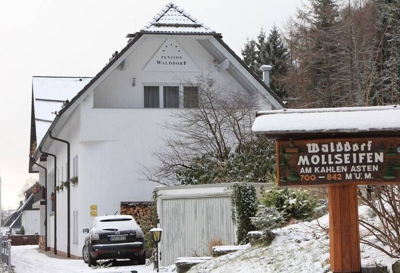 Отель Pension Walddorf