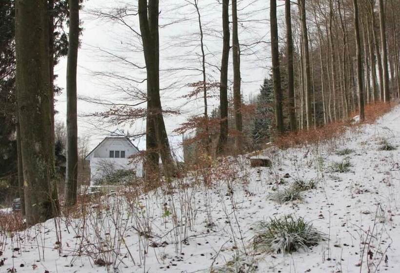 Отель Pension Walddorf