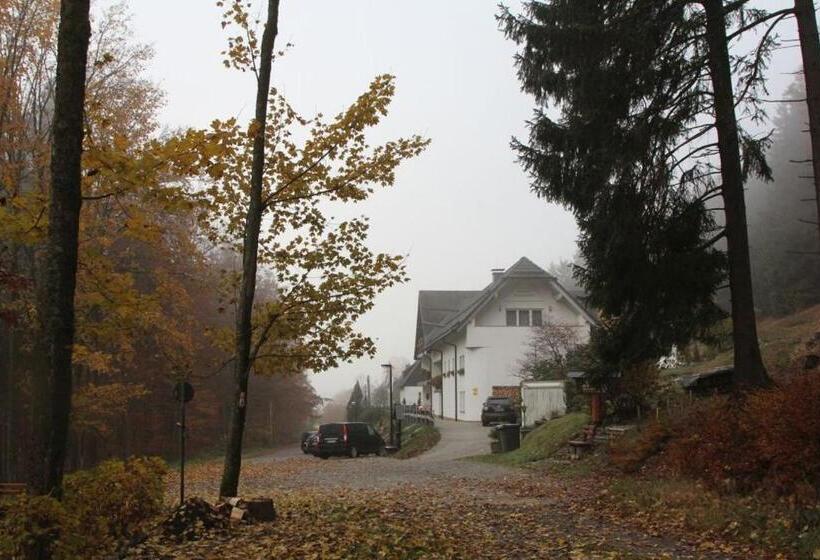 هتل Pension Walddorf