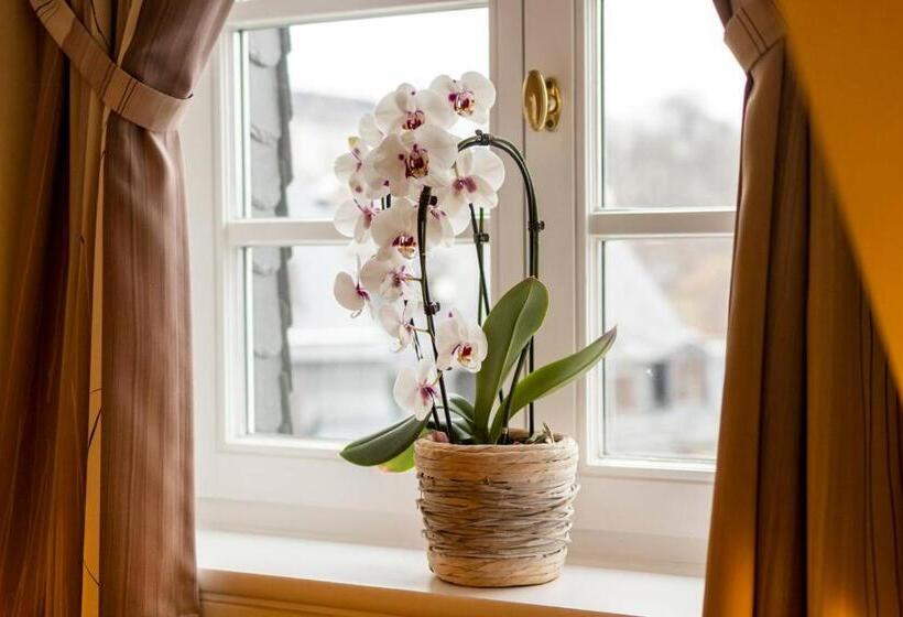 Отель Ratskeller Schwarzenberg