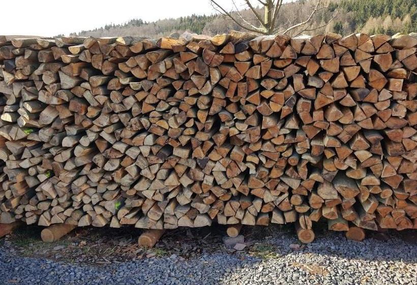 Rhön Hotel Sonnenhof Restaurant & Café