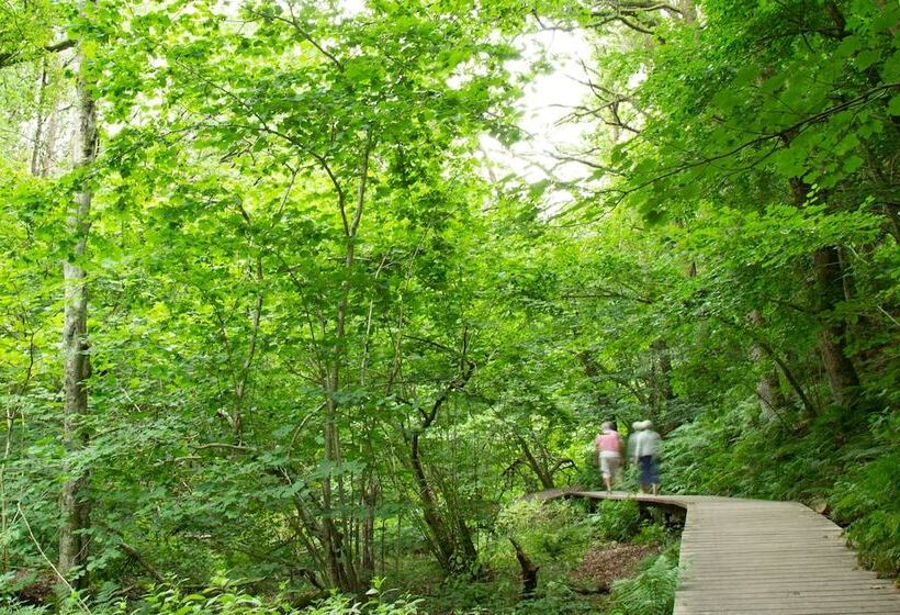 בית מלון כפרי Rønnes