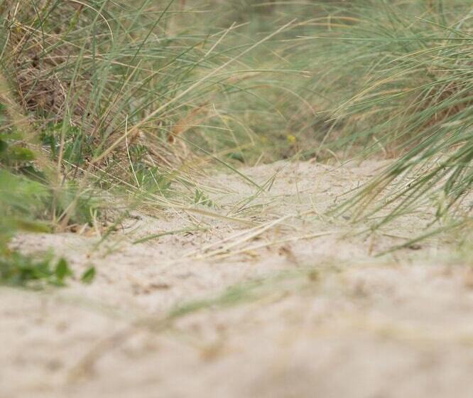 בית מלון כפרי Rønnes