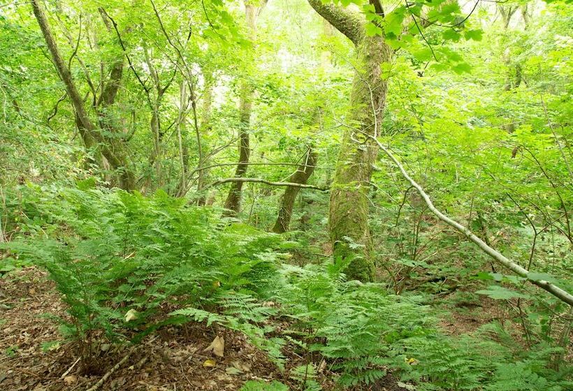 בית מלון כפרי Rønnes