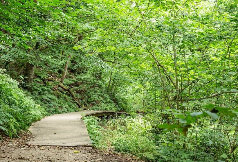 בית מלון כפרי Rønnes