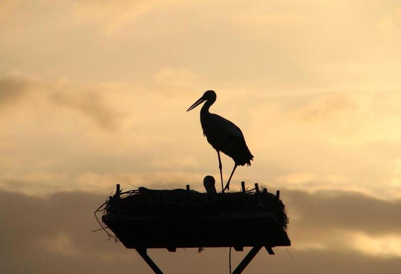 בית מלון כפרי Thormählen