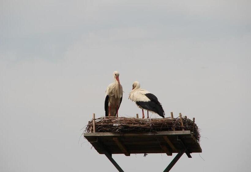 בית מלון כפרי Thormählen