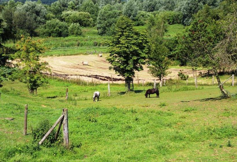 בית מלון כפרי Thormählen