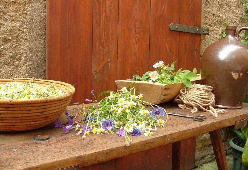 酒店 Und Gasthof Dreibeiniger Hund