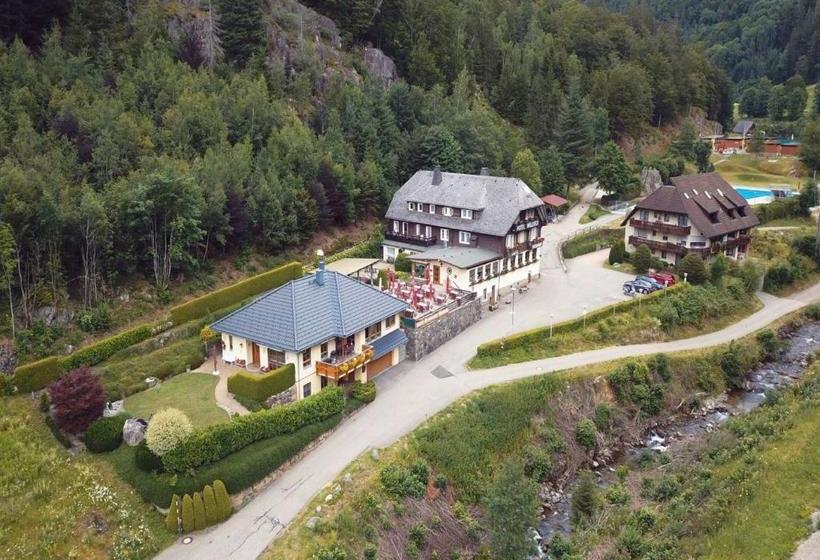בית מלון כפרי Waldeck In Todtnau