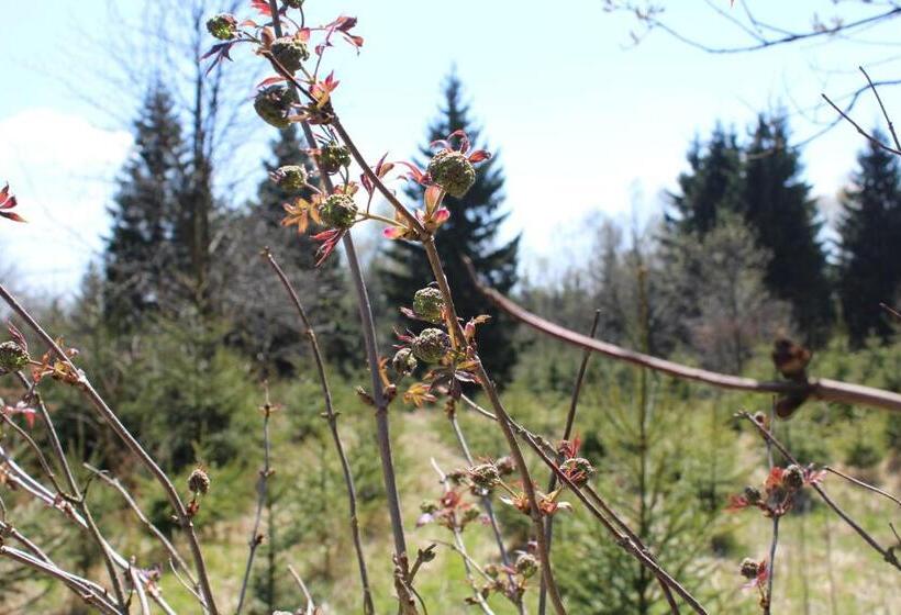 ホテル Waldgasthof Bad Einsiedel