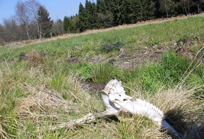 ホテル Waldgasthof Bad Einsiedel