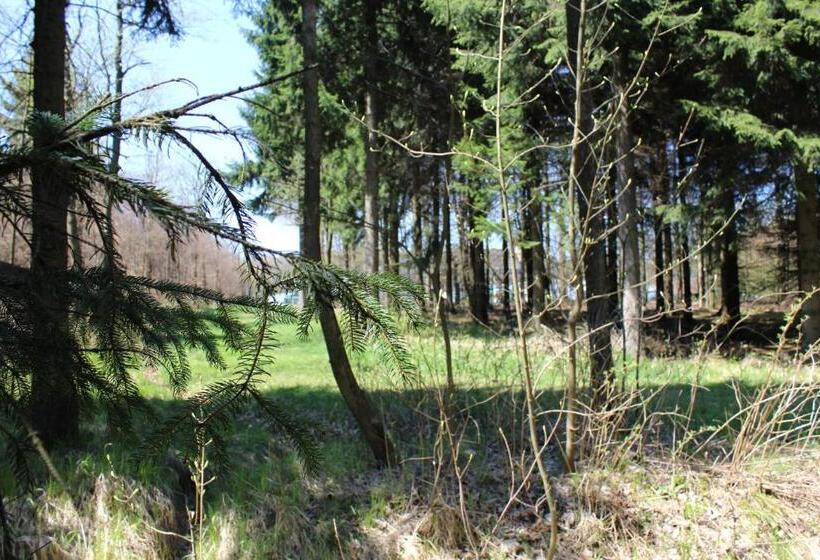 ホテル Waldgasthof Bad Einsiedel