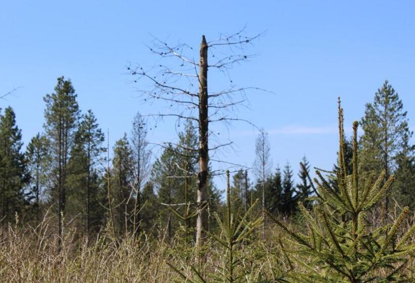 ホテル Waldgasthof Bad Einsiedel