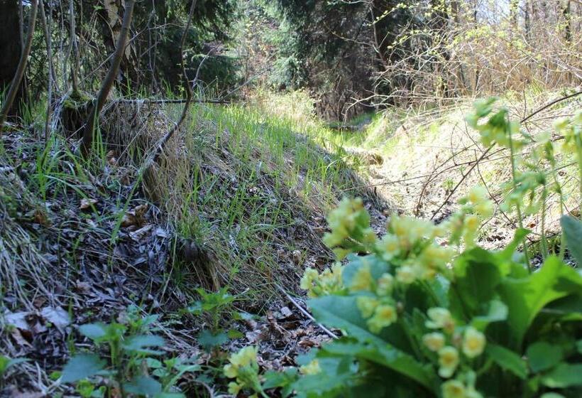 ホテル Waldgasthof Bad Einsiedel