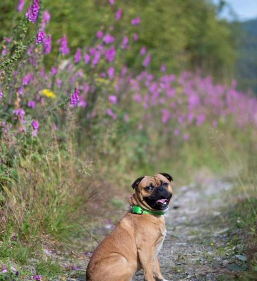 Landhotel Flora & Fauna