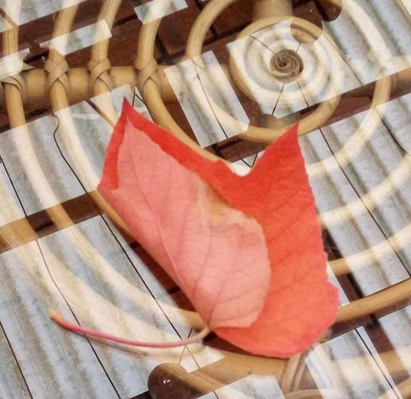 בית מלון כפרי Zeitwohnen