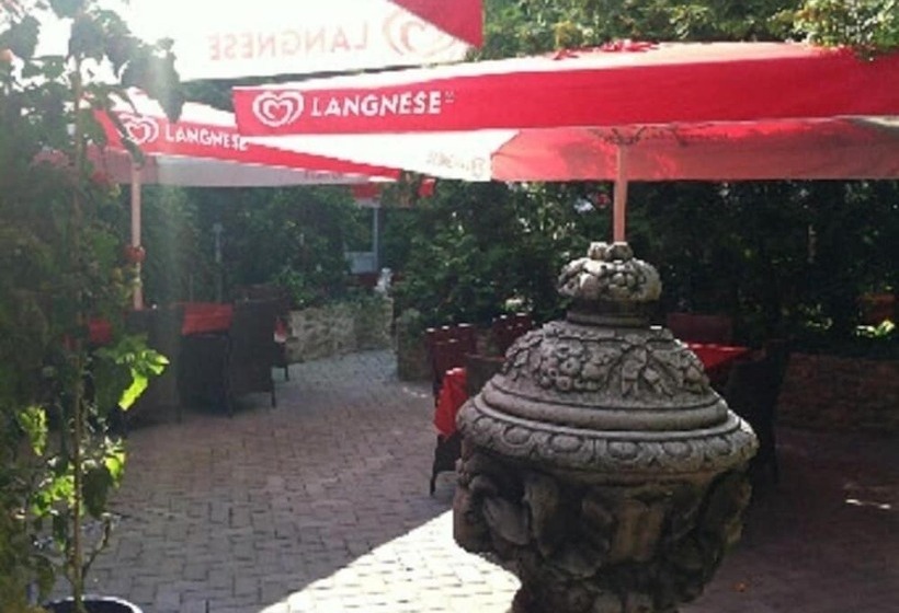 酒店 Zum Goldenen Löwen