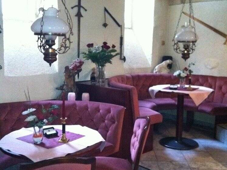 酒店 Zum Goldenen Löwen