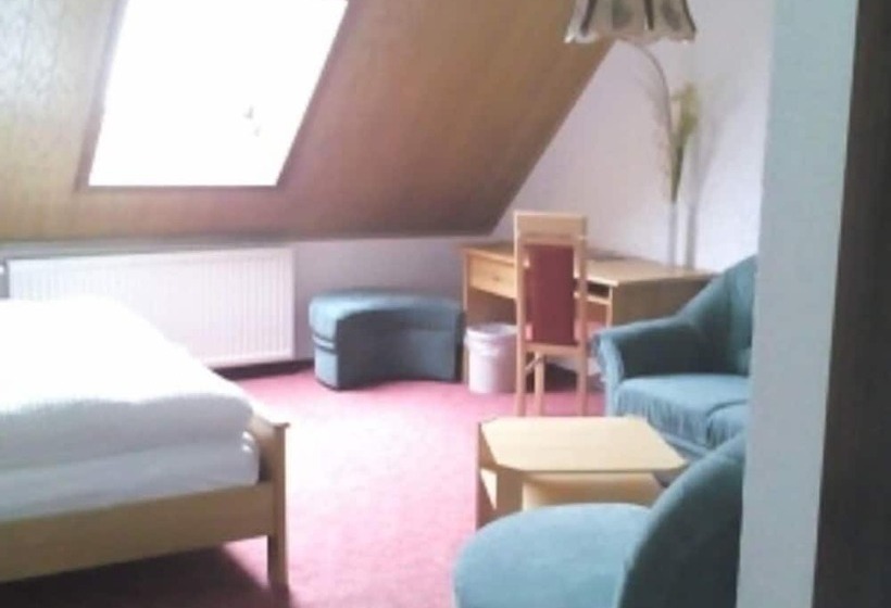 酒店 Zum Goldenen Löwen