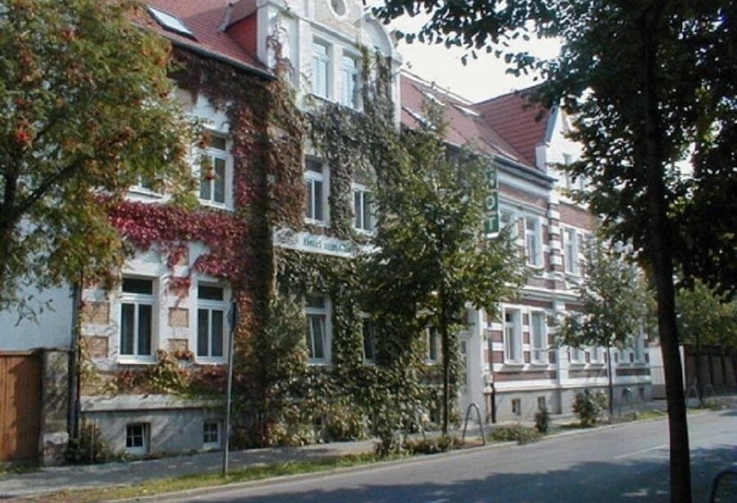 酒店 Zum Goldenen Löwen