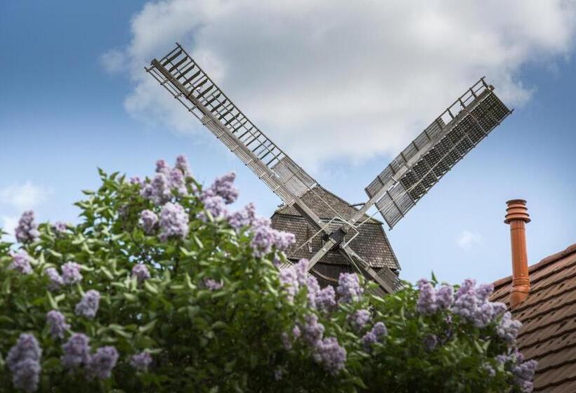Mein Werder   Hotel Am Markt