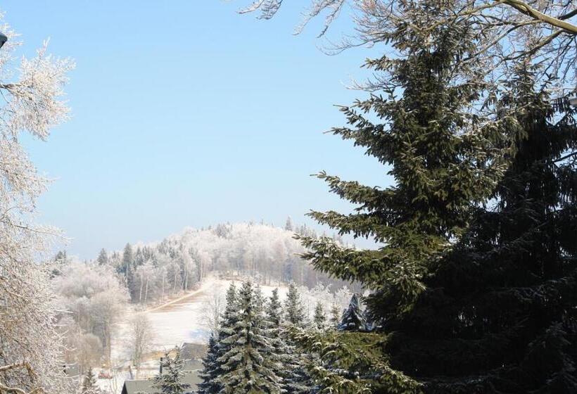 Pension Hotel Sartor