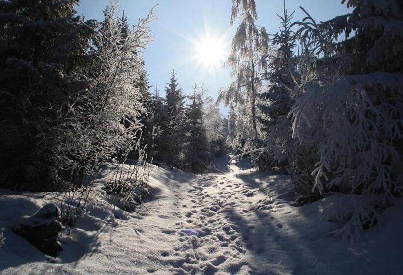 Pension Hotel Sartor