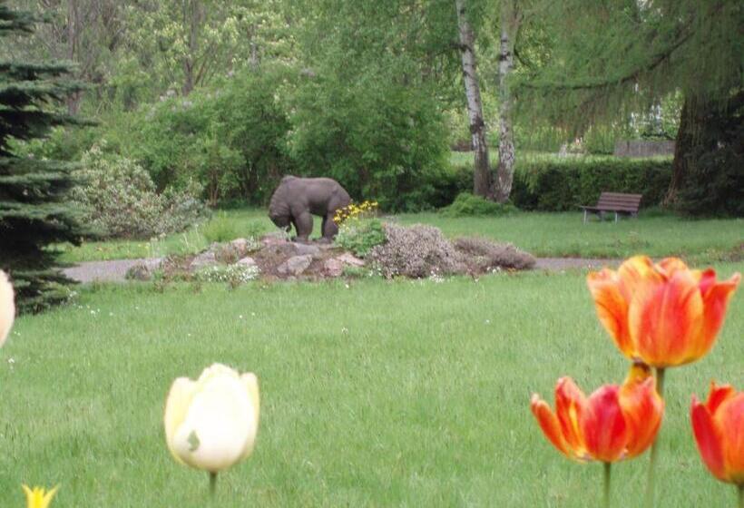 Pension Hotel Sartor