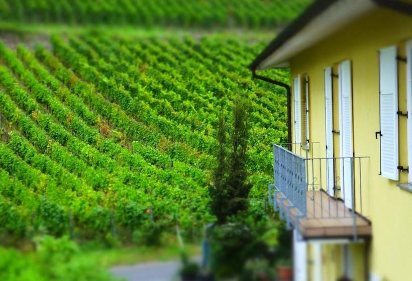Weingut Und Hotel Haus Am Drachenloch