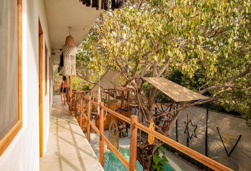 هاستل Casa Om Chakra