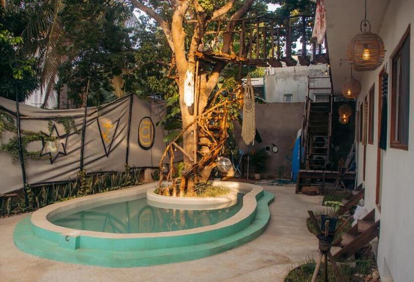 هاستل Casa Om Chakra