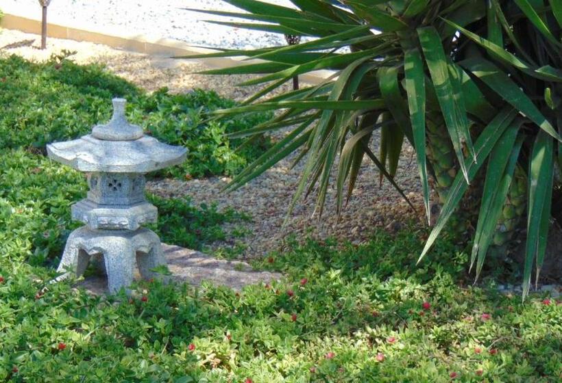 ベッドアンドブレックファースト Casa La Vida Feliz