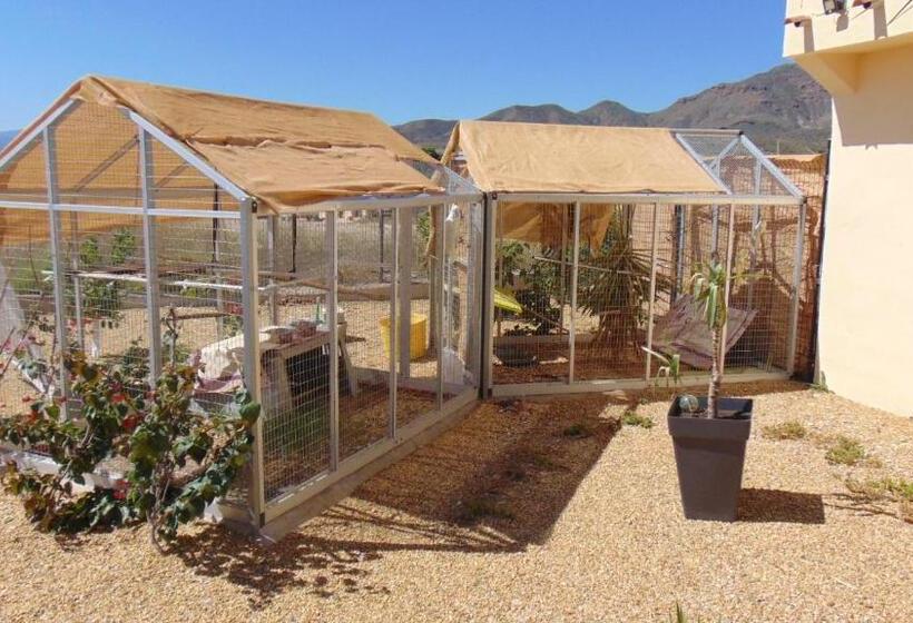 ベッドアンドブレックファースト Casa La Vida Feliz