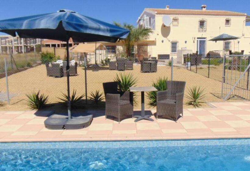 ベッドアンドブレックファースト Casa La Vida Feliz