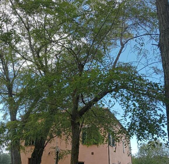 Bed and Breakfast Casale Costa Dei Trabocchi