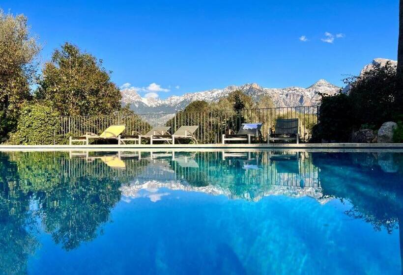 ベッドアンドブレックファースト Finca Can Coll Boutique Country House   Adults Only