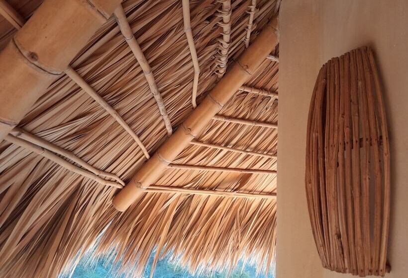 مبيت وإفطار Nani