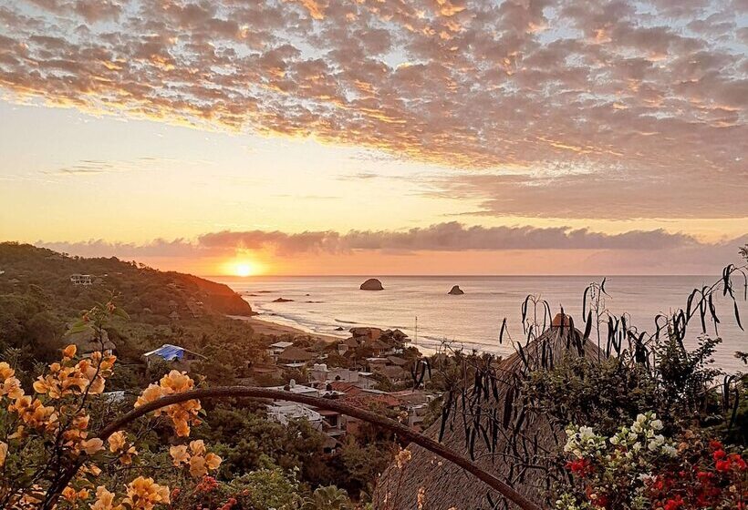 住宿加早餐 Nani