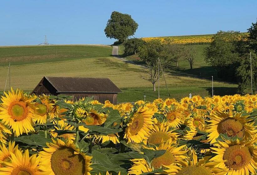 Bed & Breakfast Gaetzi