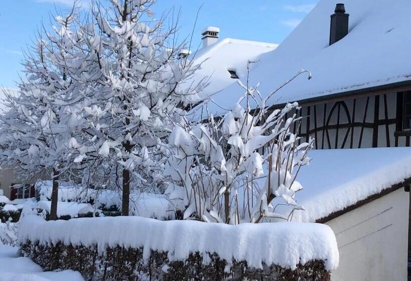 Bed & Breakfast Gaetzi