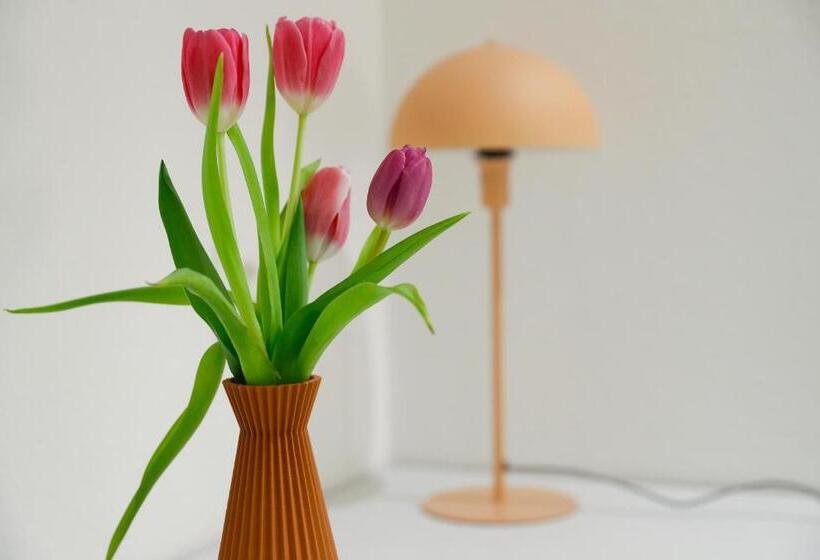 Boutique Hotel Piazza Grande