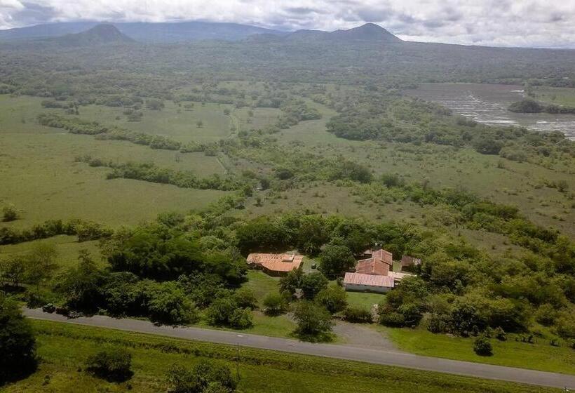 El Cocobolo Food&rest Room 1 Bed And Breakfast Wifi Ac Pkg Gratis